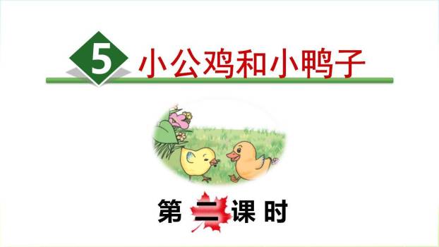 小公鸡和小鸭子PPT课件50