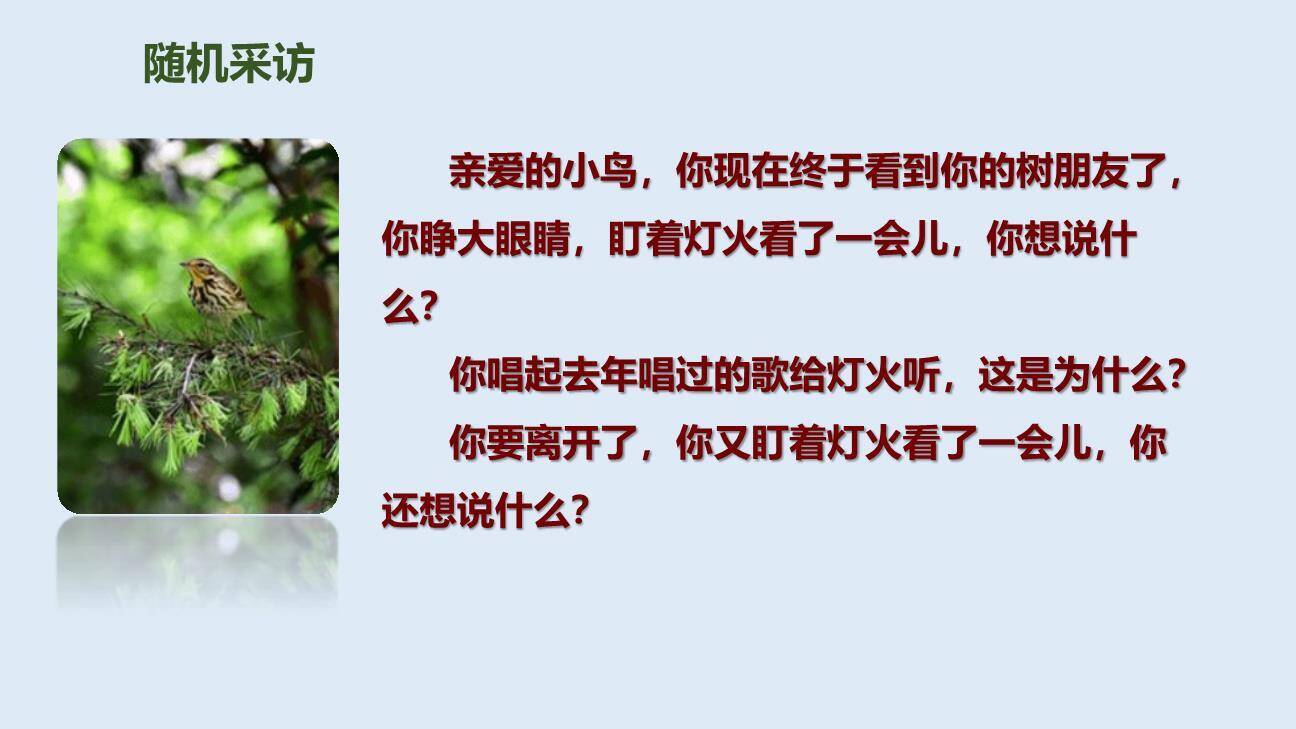 去年的树PPT课件45