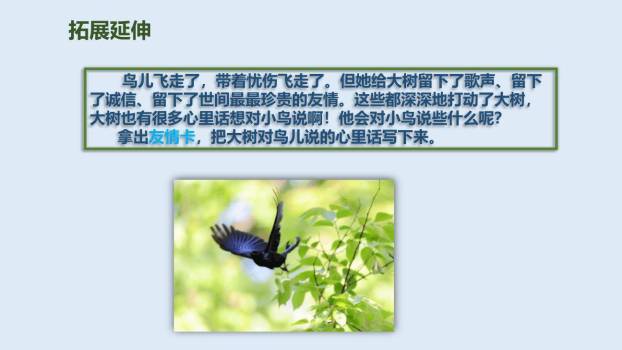 去年的树PPT课件47