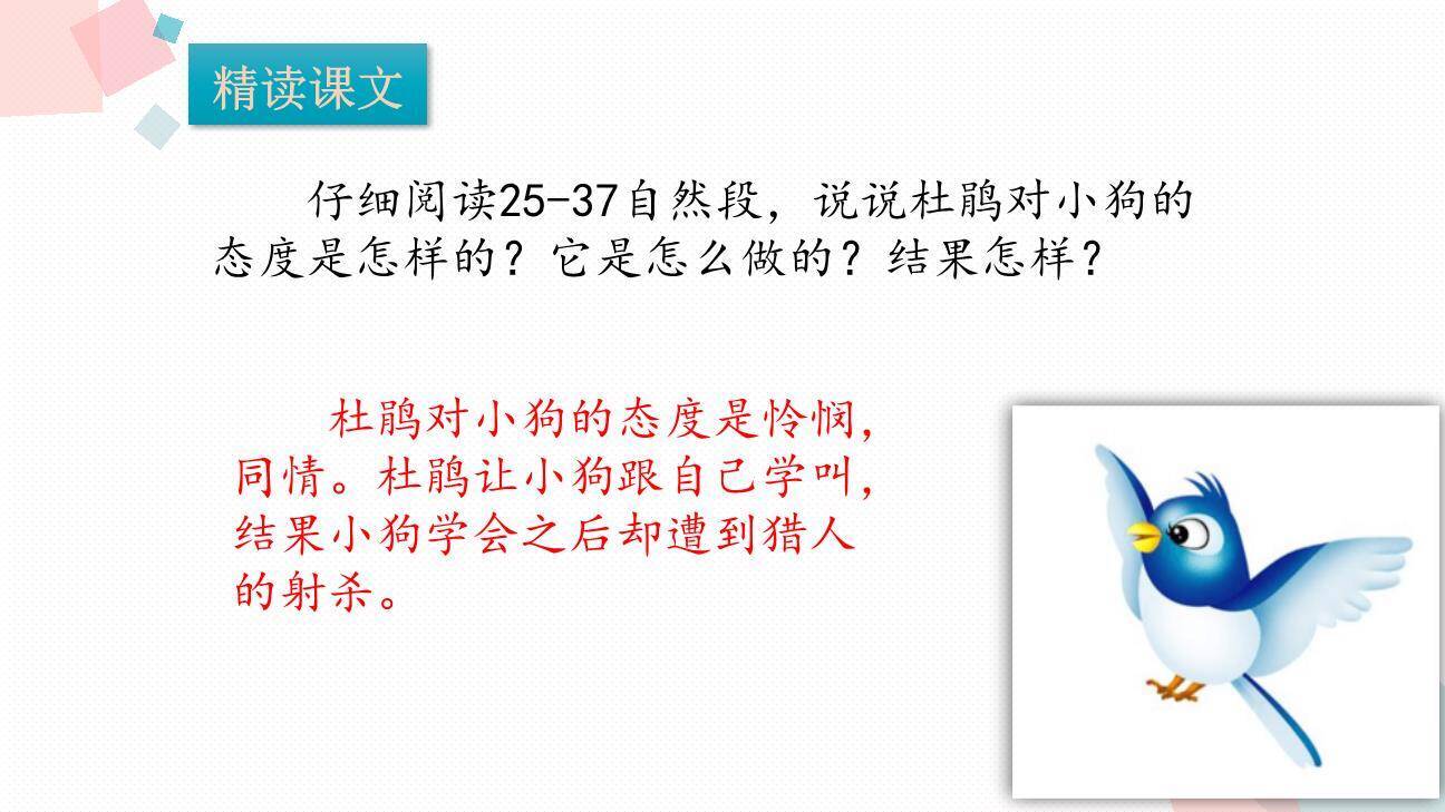 不会叫的狗PPT课件68