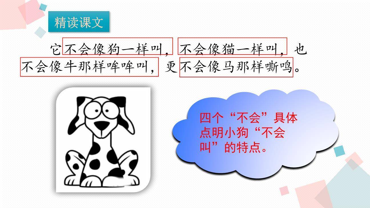 不会叫的狗PPT课件63
