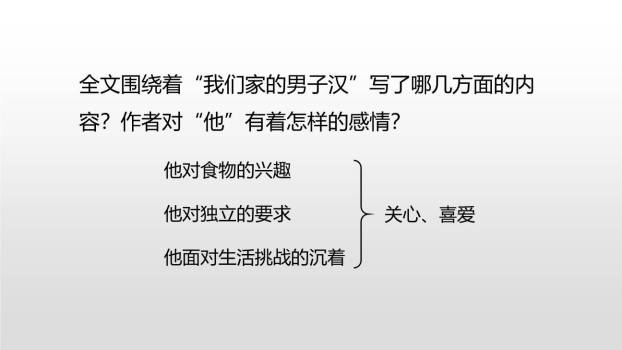 我们家的男子汉PPT课件28