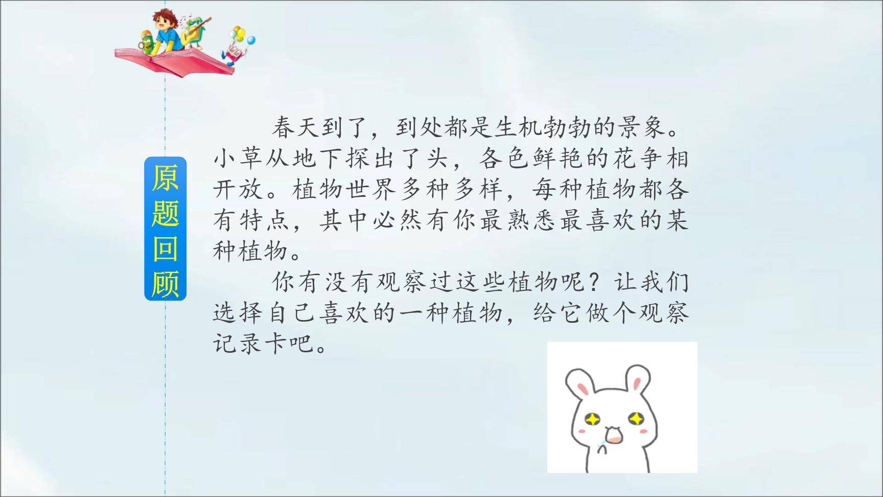 我的植物朋友PPT课件26