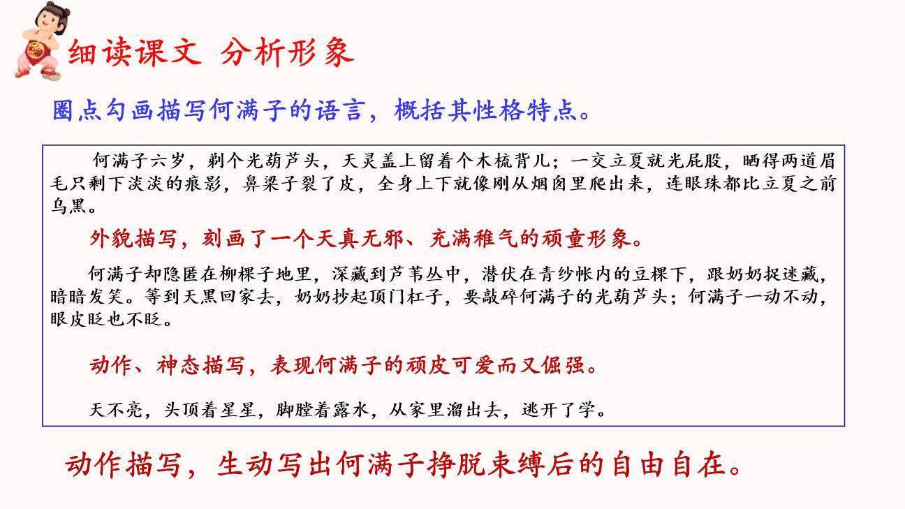 蒲柳人家PPT课件71