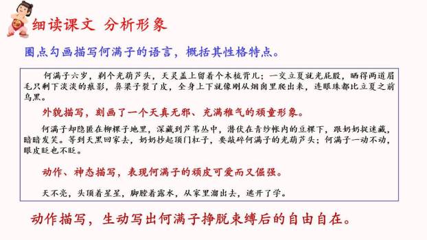 蒲柳人家PPT课件71