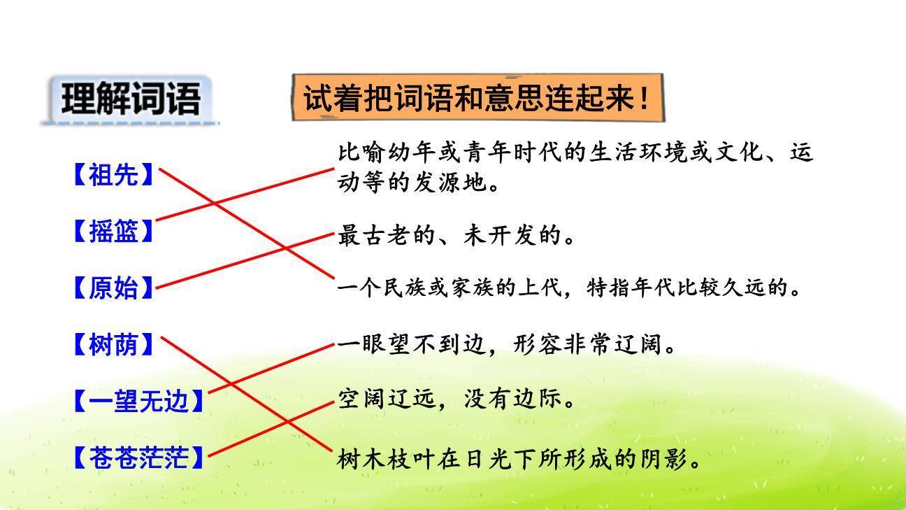 祖先的摇篮PPT课件84