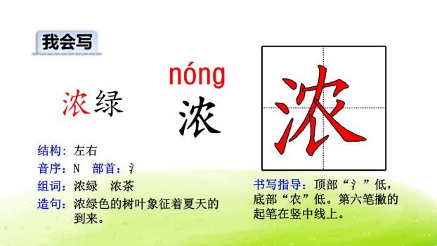 祖先的摇篮PPT课件87