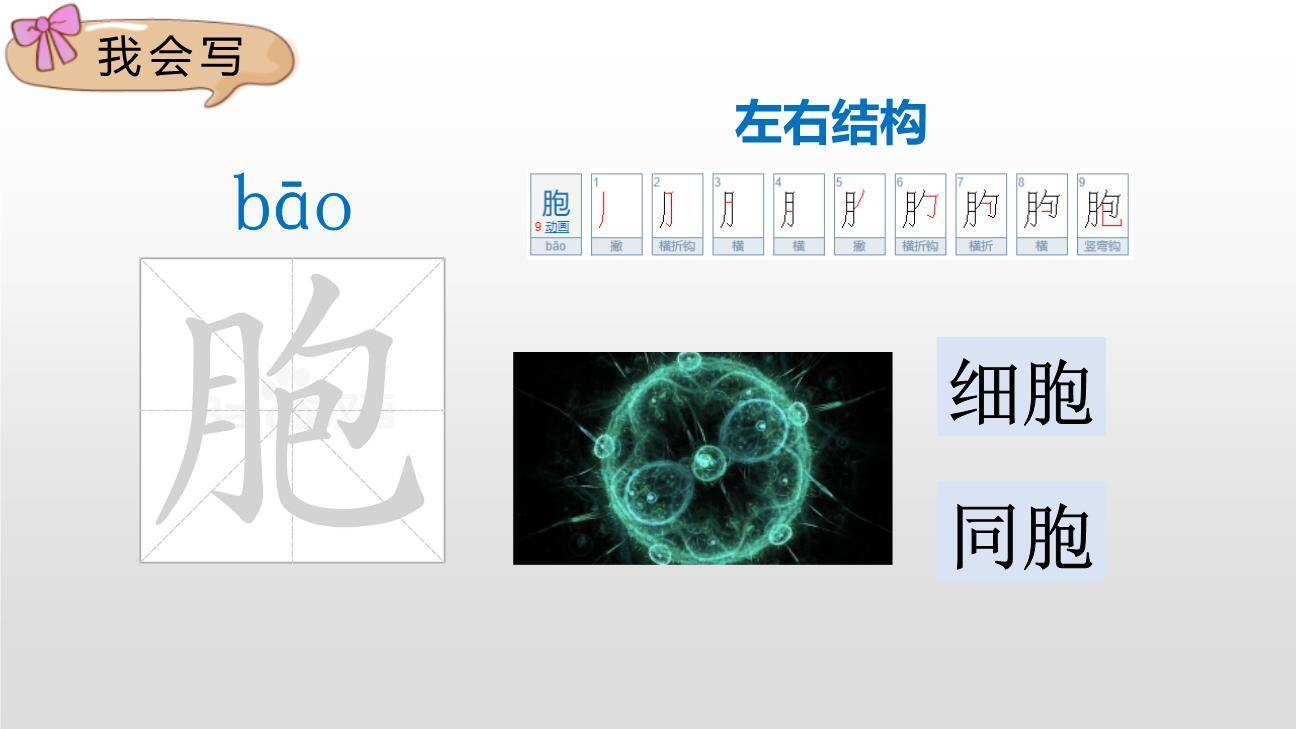 纳米技术就在我们身边PPT课件18