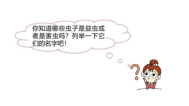 我是一只小虫子PPT课件45