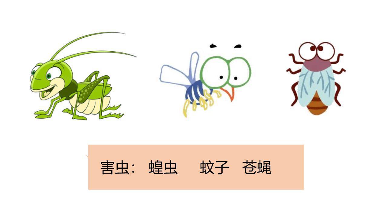 我是一只小虫子PPT课件47