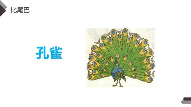 比尾巴PPT课件62