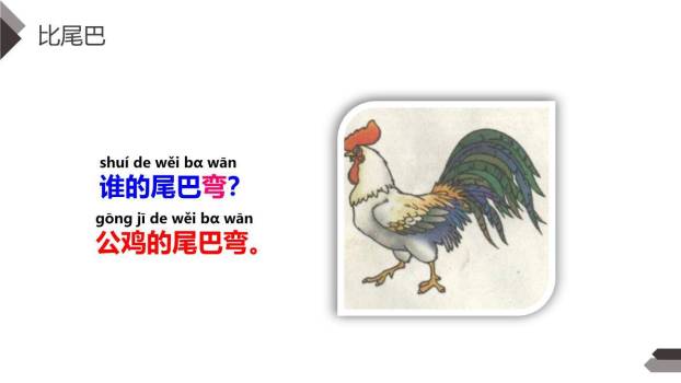 比尾巴PPT课件63