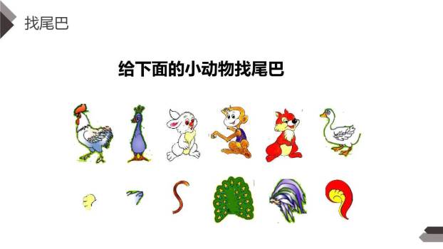 比尾巴PPT课件65