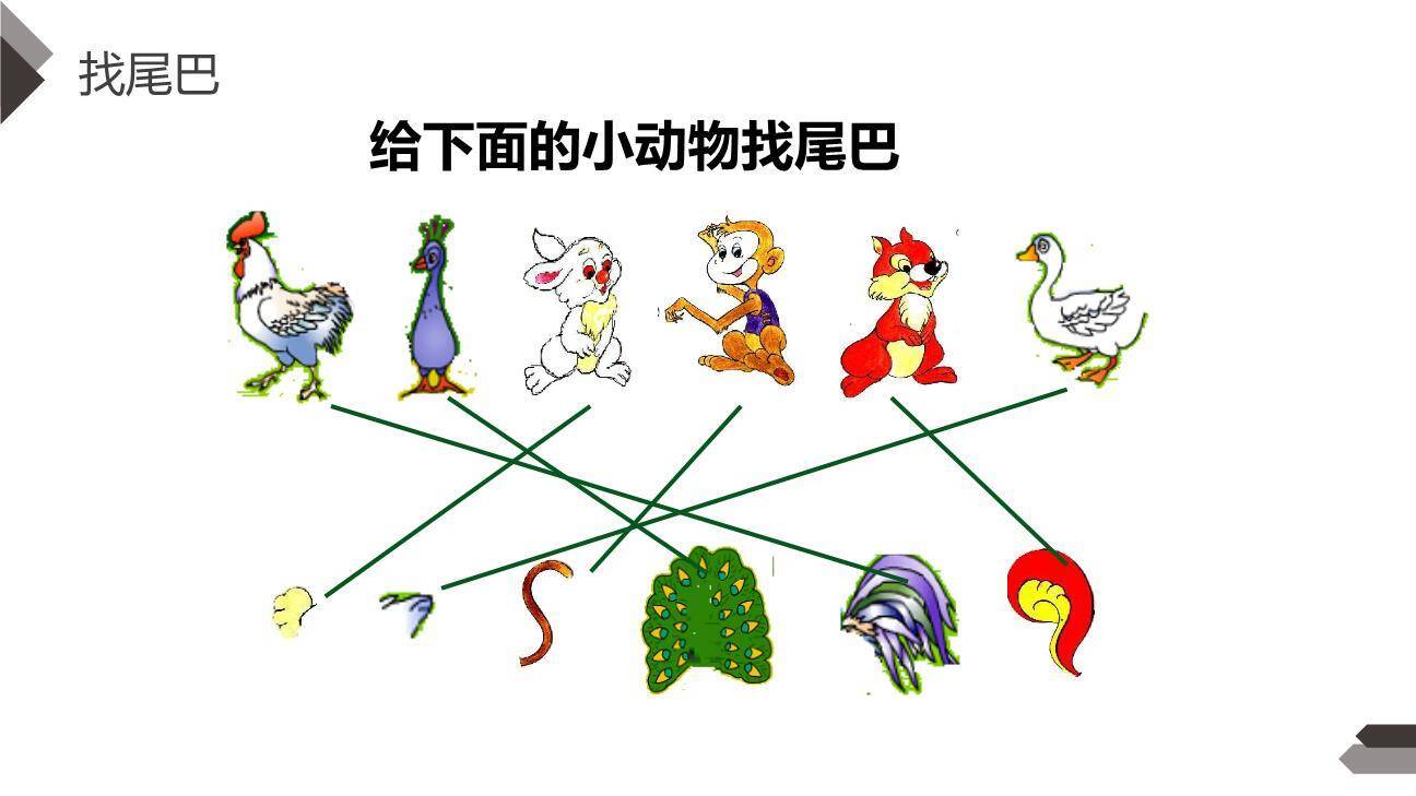 比尾巴PPT课件66