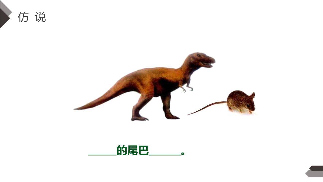 比尾巴PPT课件67