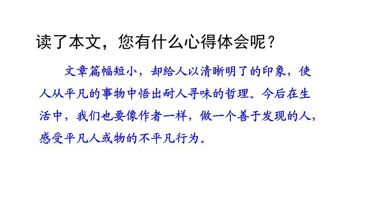 落花生PPT课件53