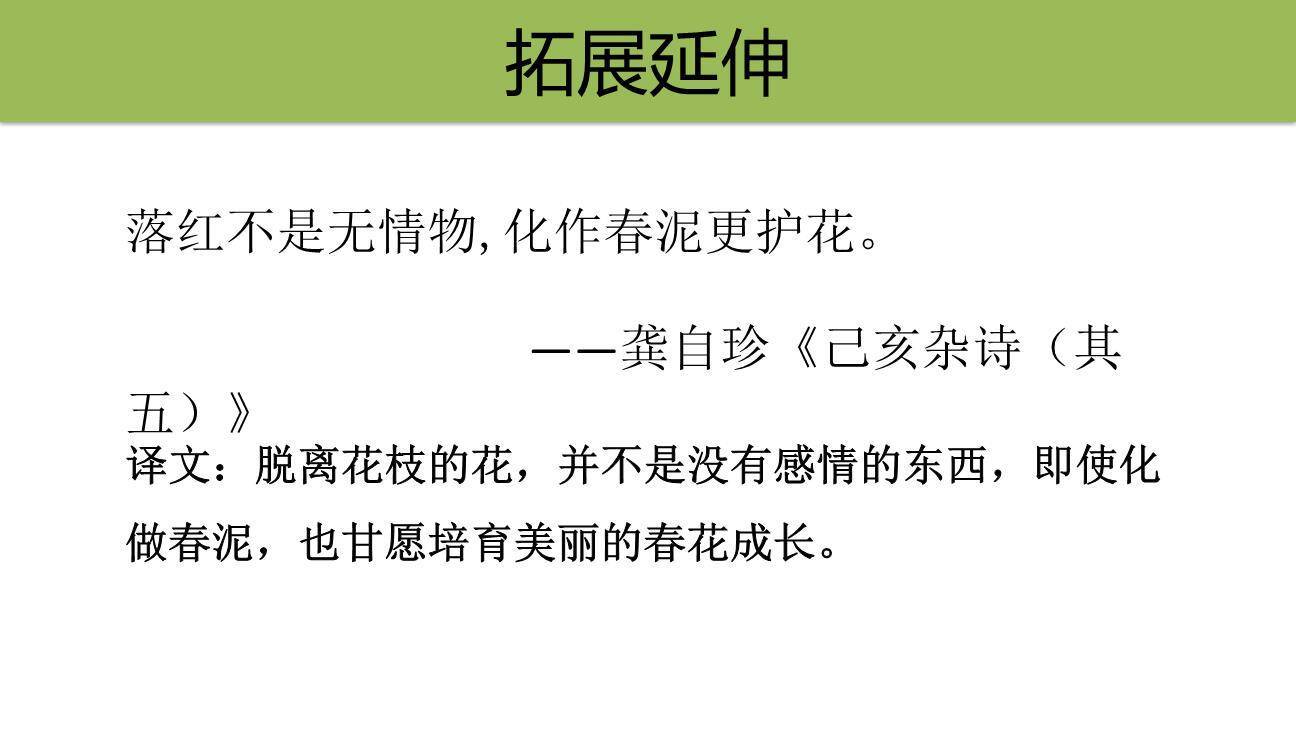 落花生PPT课件54