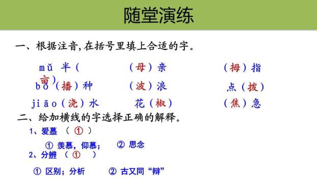 落花生PPT课件55