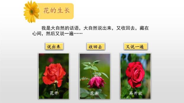 花之歌PPT课件72