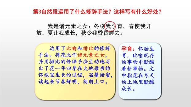 花之歌PPT课件75