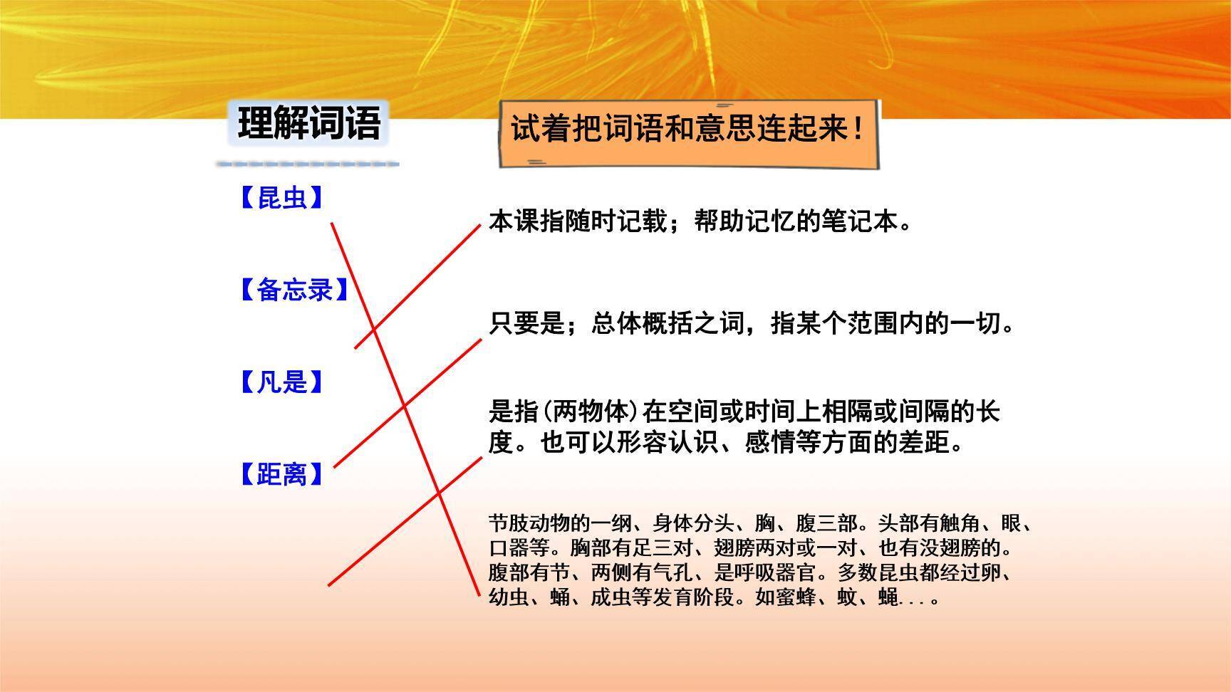 昆虫备忘录PPT课件54