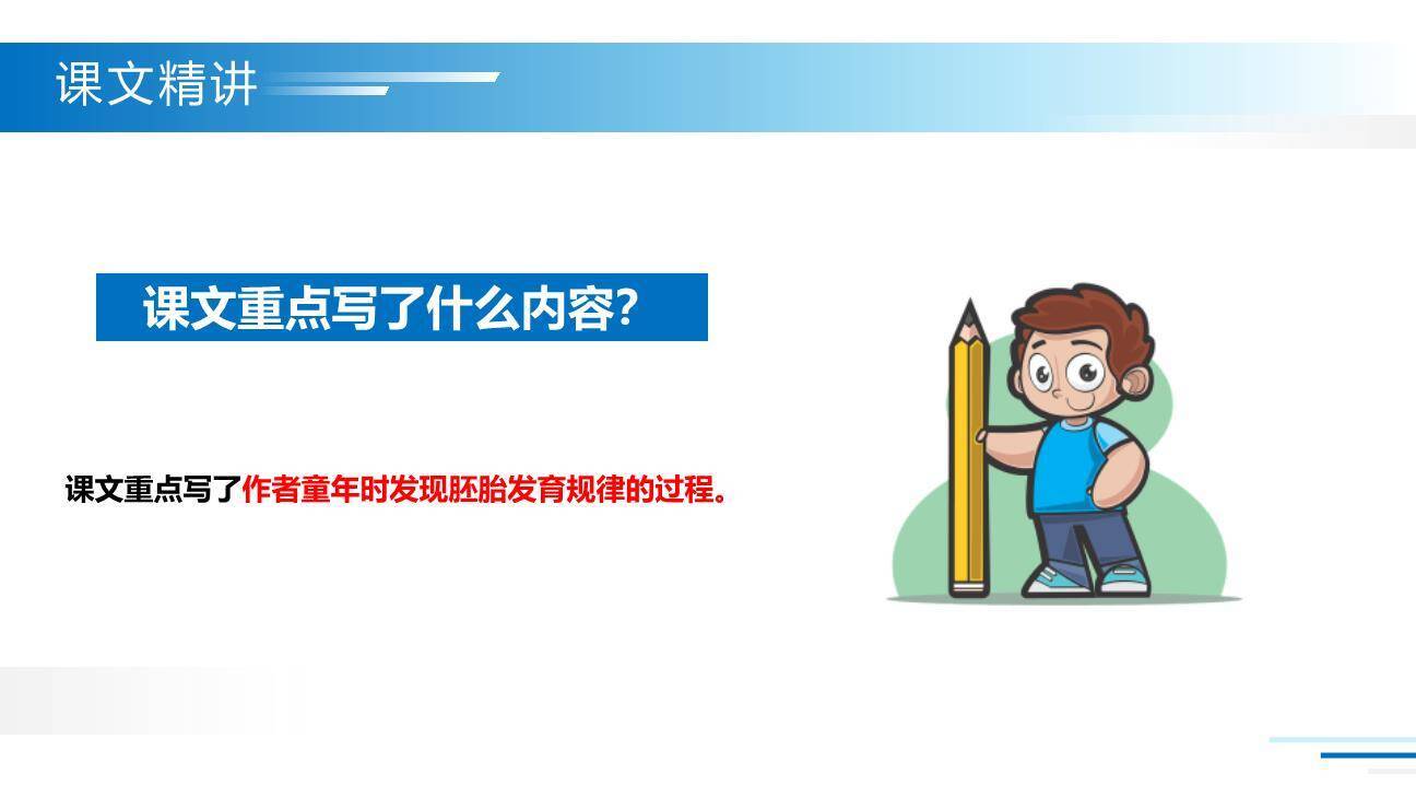 童年的发现PPT课件25