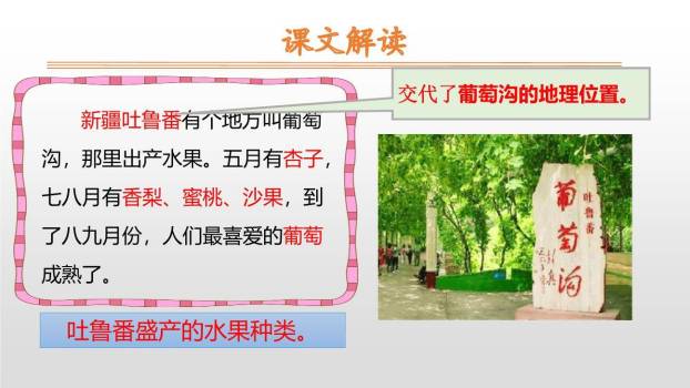 葡萄沟PPT课件86