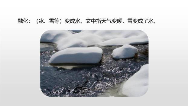 去年的树PPT课件65