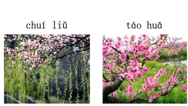 《ao ou iu》PPT课件33