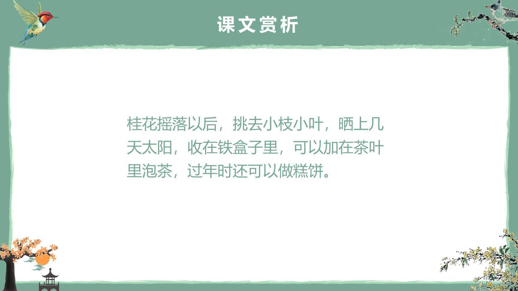 桂花雨PPT课件39