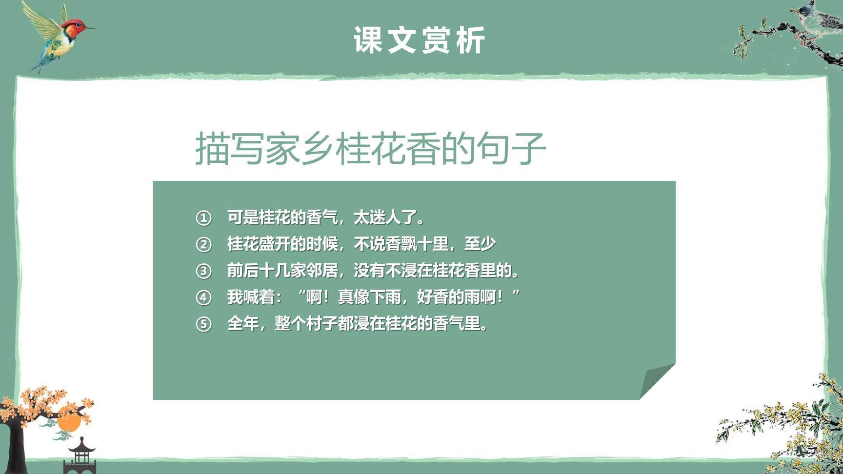 桂花雨PPT课件37