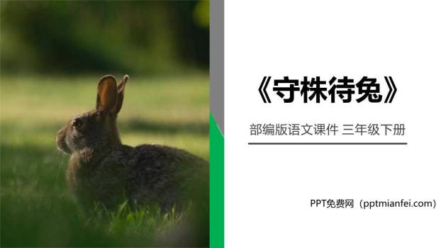 守株待兔PPT课件20