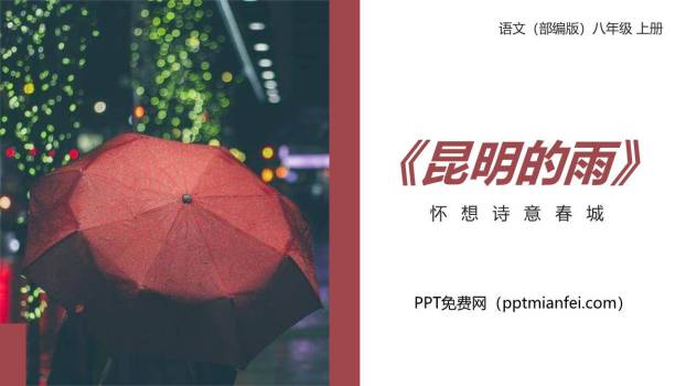 昆明的雨PPT课件30