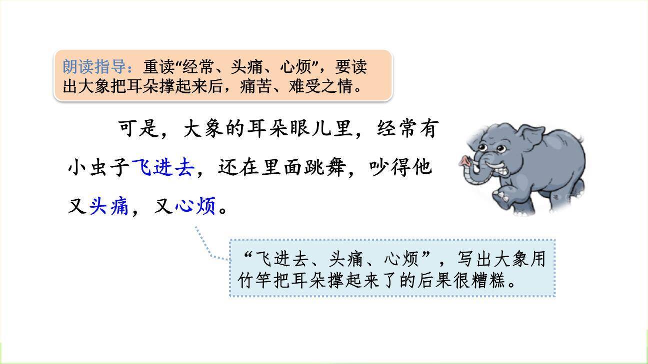 大象的耳朵PPT课件65