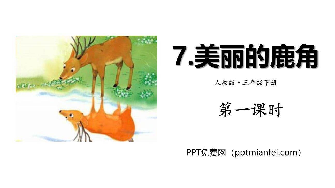美丽的鹿角PPT课件30