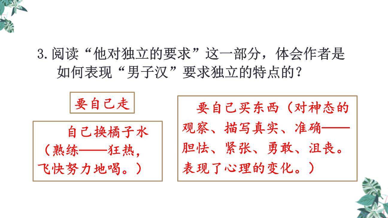 我们家的男子汉PPT课件33