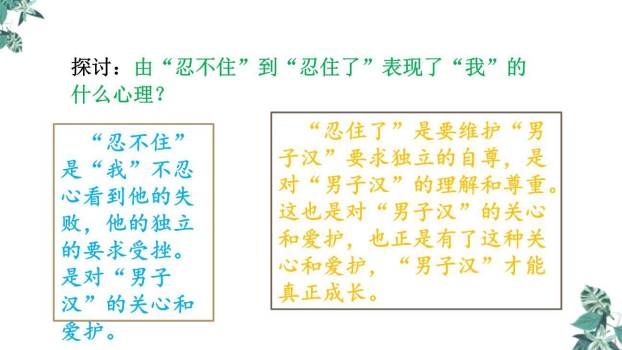 我们家的男子汉PPT课件35