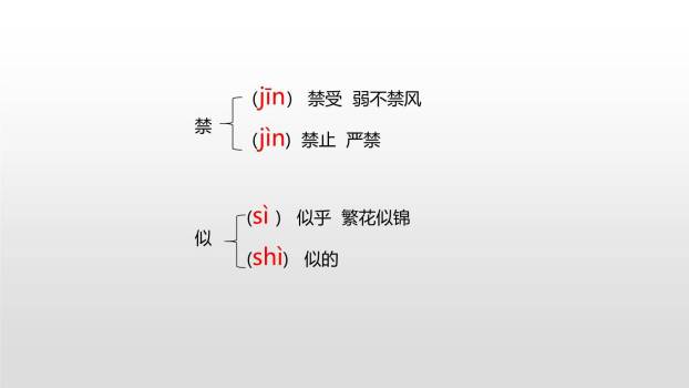 我的长生果PPT课件14