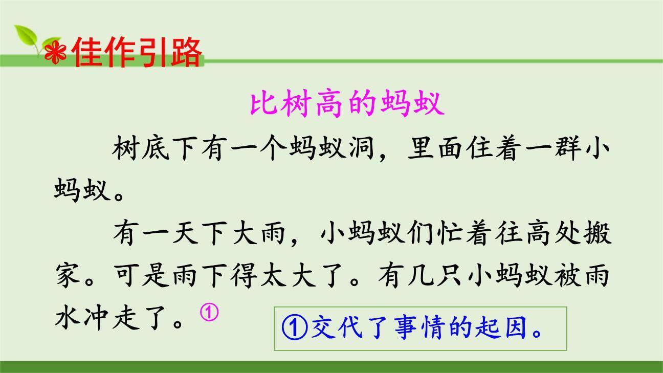 这样想象真有趣PPT课件79