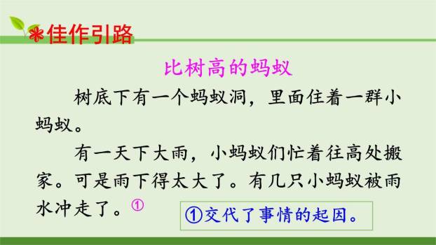 这样想象真有趣PPT课件79