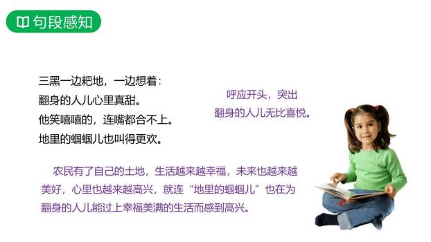 三黑和土地PPT课件31