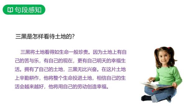 三黑和土地PPT课件32