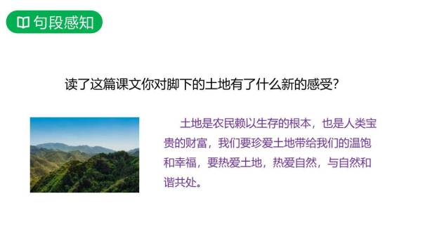 三黑和土地PPT课件33