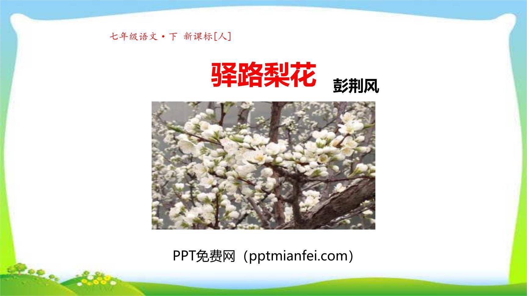 驿路梨花PPT课件30