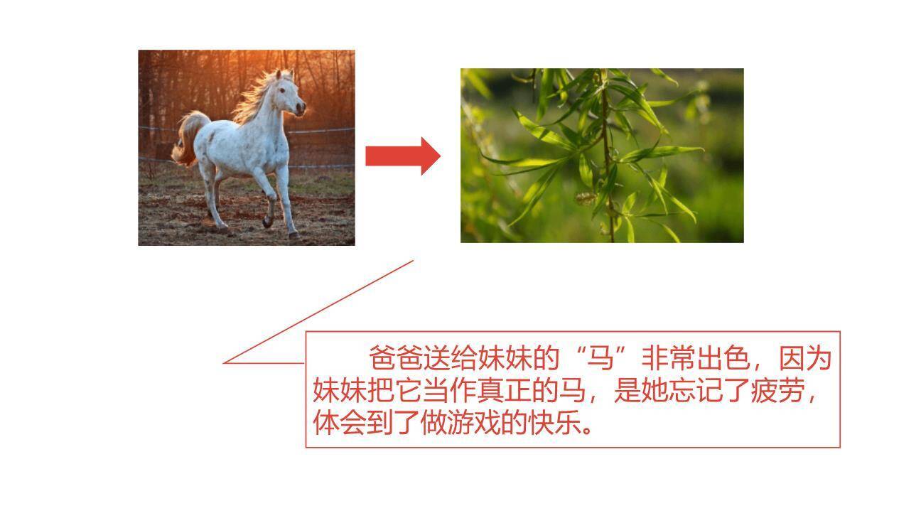 一匹出色的马PPT课件54