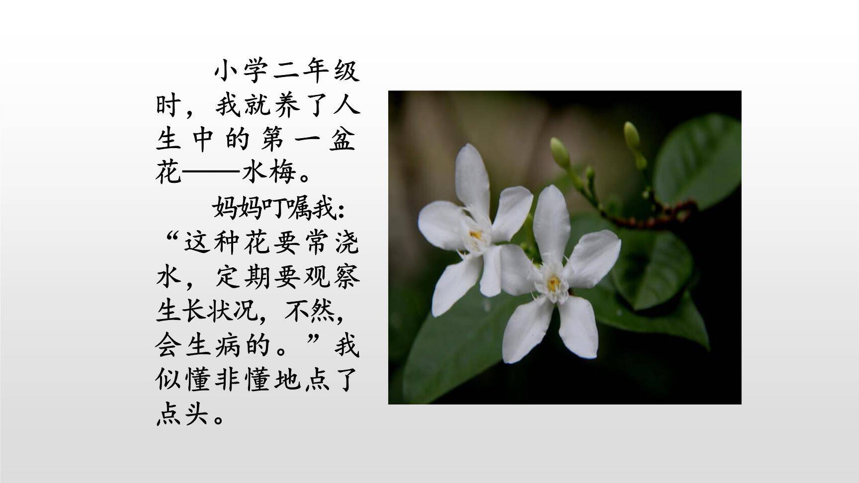 让生活更美好PPT课件35