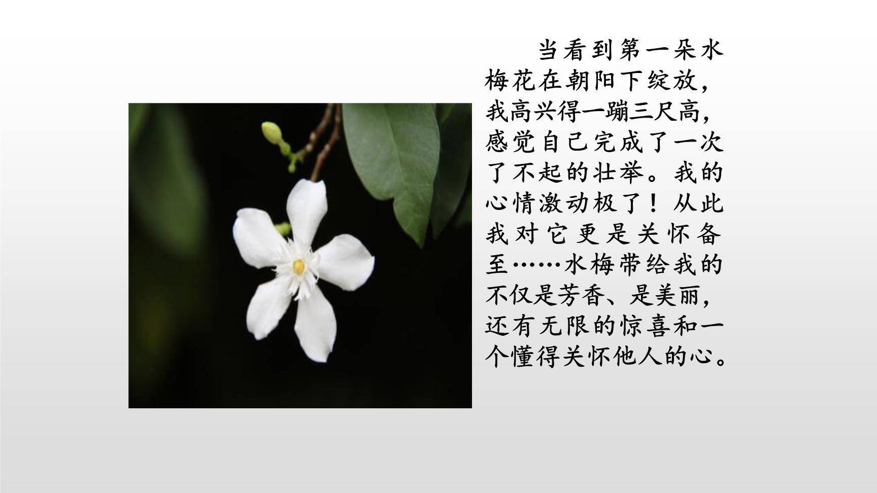 让生活更美好PPT课件37