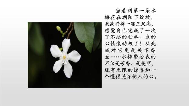 让生活更美好PPT课件37