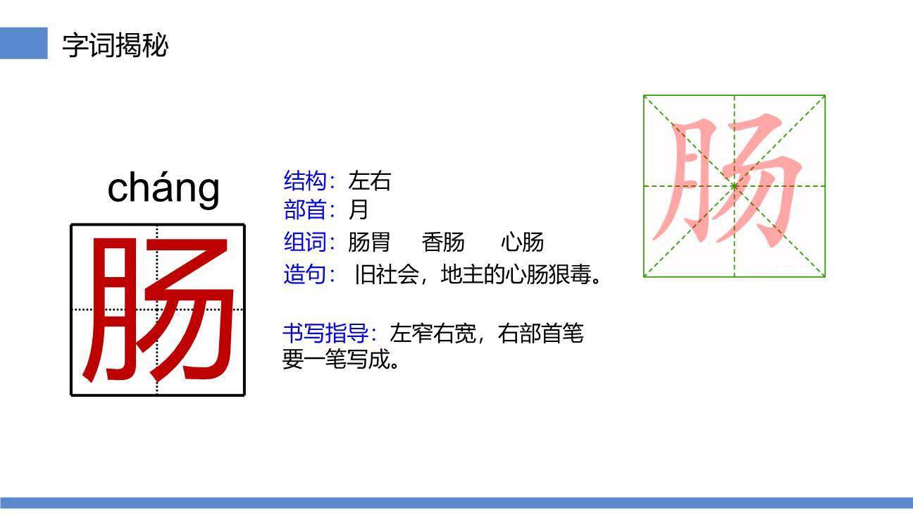 我变成了一棵树PPT课件39