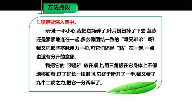 热爱生活热爱写作PPT课件37